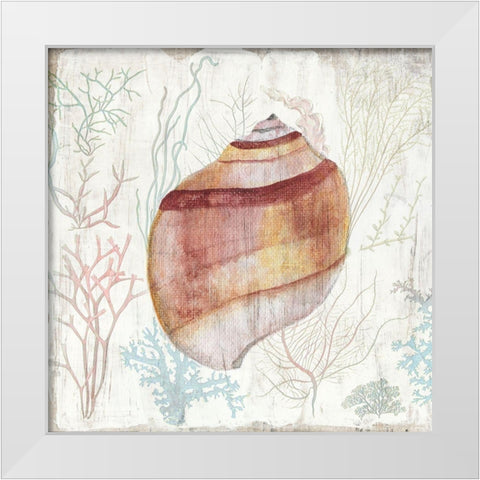 Coral and Shell II White Modern Wood Framed Art Print by Tava Studios