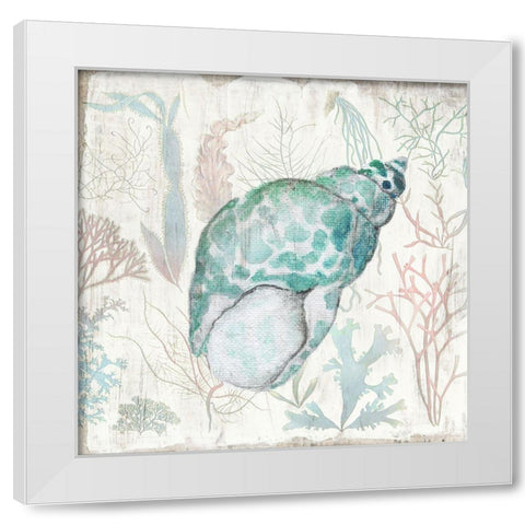 Coral and Shell IV White Modern Wood Framed Art Print by Tava Studios