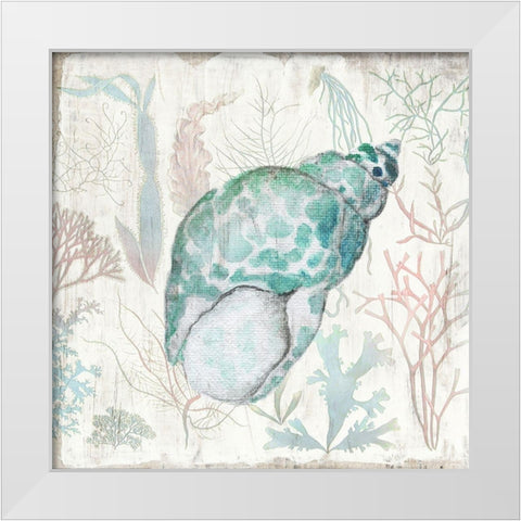Coral and Shell IV White Modern Wood Framed Art Print by Tava Studios