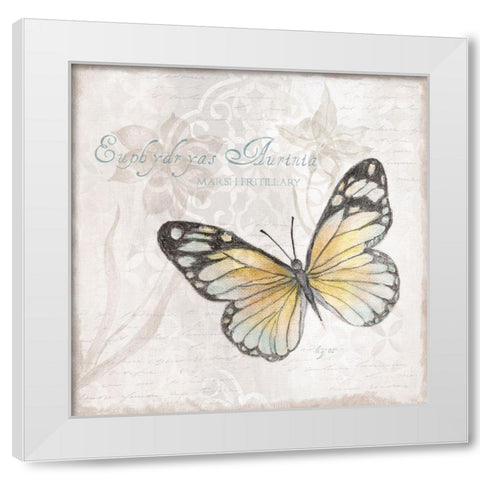 Postcard Butterfly II White Modern Wood Framed Art Print by Tava Studios