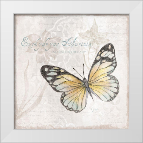 Postcard Butterfly II White Modern Wood Framed Art Print by Tava Studios