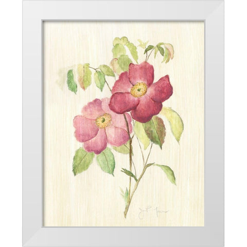 Dusty Rose II White Modern Wood Framed Art Print by Tava Studios