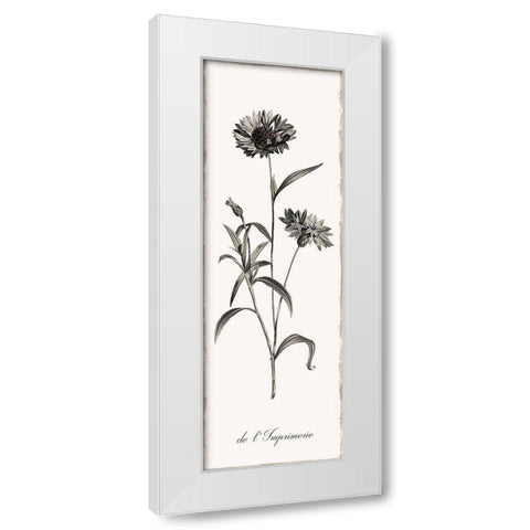 Slender Imperial White Modern Wood Framed Art Print by Donovan, Kelly