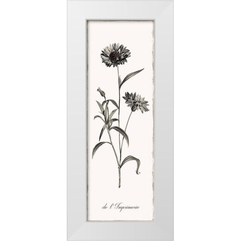 Slender Imperial White Modern Wood Framed Art Print by Donovan, Kelly