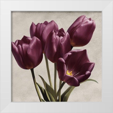 Royal Tulips White Modern Wood Framed Art Print by Levashov, Igor