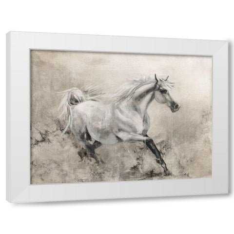 Majestic Stallion I White Modern Wood Framed Art Print by Brooks, Donna