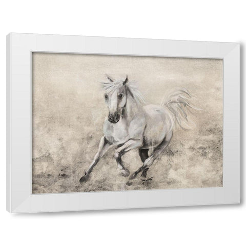 Majestic Stallion II White Modern Wood Framed Art Print by Brooks, Donna