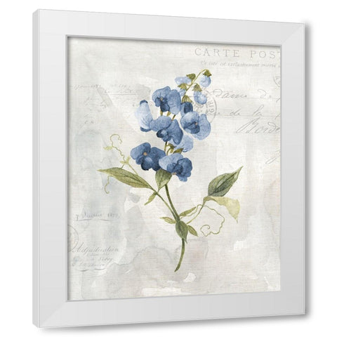 Blue Linen Sweet White Modern Wood Framed Art Print by Robinson, Carol