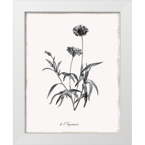 Simply Imperial White Modern Wood Framed Art Print by Donovan, Kelly