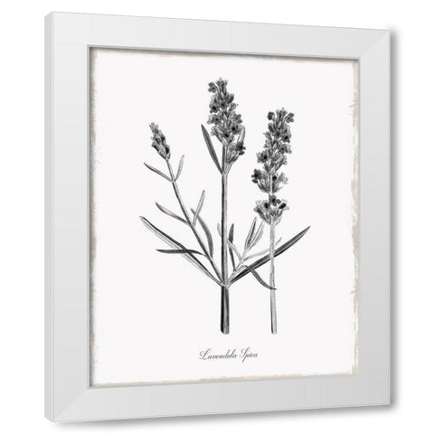 Simply Lavender White Modern Wood Framed Art Print by Donovan, Kelly