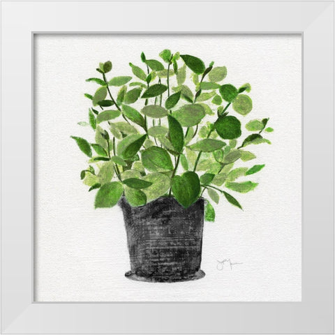 Herb Garden I White Modern Wood Framed Art Print by Tava Studios