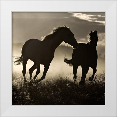 Ponderosa Sunset White Modern Wood Framed Art Print by Delimont, Danita