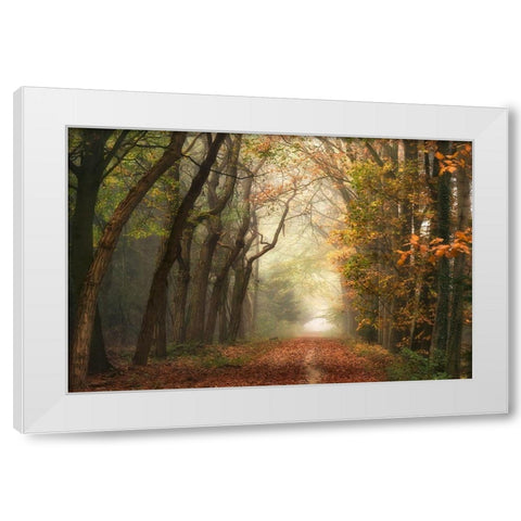 Path of Dreams White Modern Wood Framed Art Print by Van de Goor, Lars