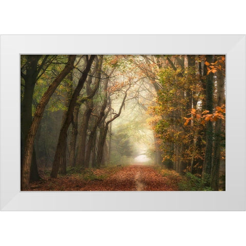 Path of Dreams White Modern Wood Framed Art Print by Van de Goor, Lars