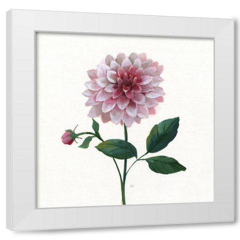 Simple Botanical IV White Modern Wood Framed Art Print by Nan