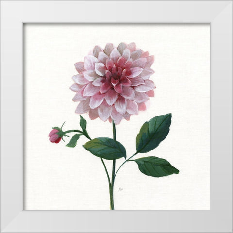 Simple Botanical IV White Modern Wood Framed Art Print by Nan