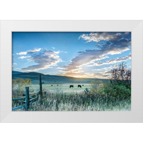 Ranch Sunrise White Modern Wood Framed Art Print by Delimont, Danita