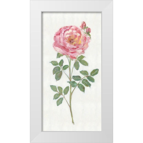 Single Stem I White Modern Wood Framed Art Print by Swatland, Sally