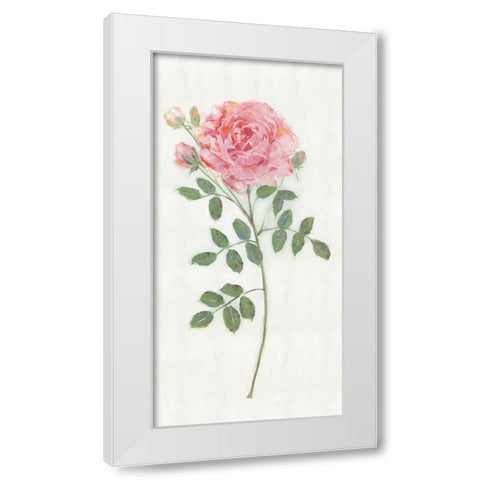 Single Stem II White Modern Wood Framed Art Print by Swatland, Sally