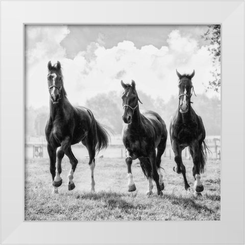 Three of a Kind White Modern Wood Framed Art Print by Van de Goor, Lars