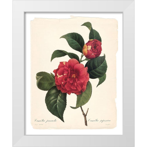 Red Botanical I White Modern Wood Framed Art Print by Robinson, Carol