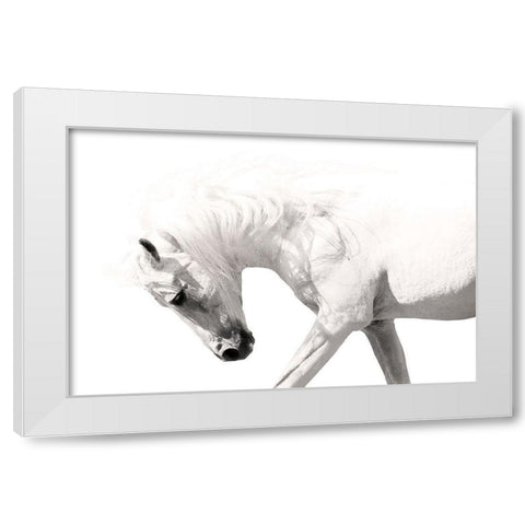 Neutral Stallion White Modern Wood Framed Art Print by Klopfer, Lee