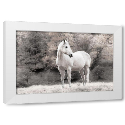 White Mare White Modern Wood Framed Art Print by Jannsen, Brian