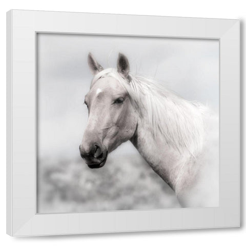 Wild and Free White Modern Wood Framed Art Print by Archer, Ken