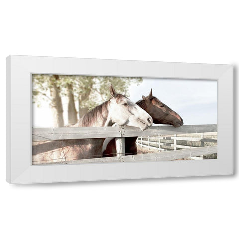 Friendly Visit White Modern Wood Framed Art Print by Robinson, Carol