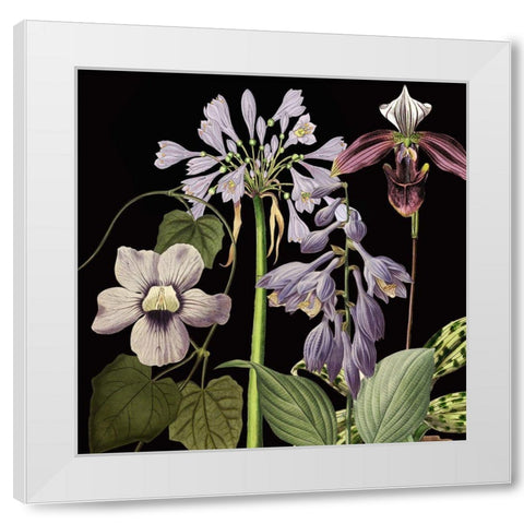 Dusty Plum Botanical I White Modern Wood Framed Art Print by Jill, Susan