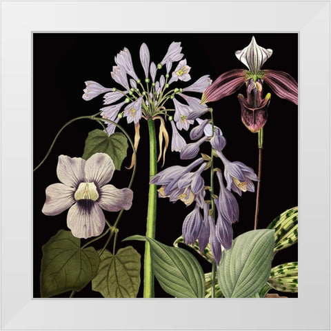 Dusty Plum Botanical I White Modern Wood Framed Art Print by Jill, Susan