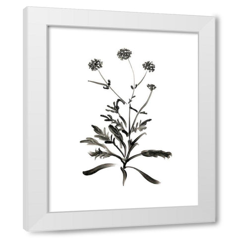 Inky Botanical I White Modern Wood Framed Art Print by Donovan, Kelly