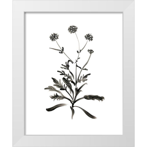 Inky Botanical I White Modern Wood Framed Art Print by Donovan, Kelly