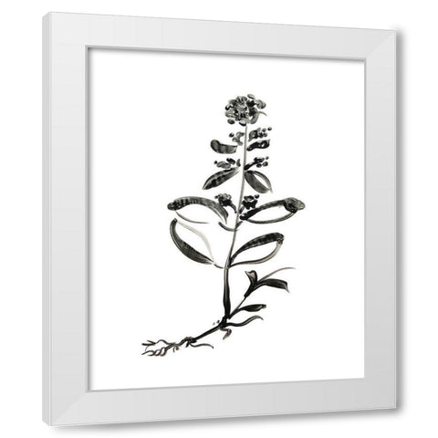 Inky Botanical III White Modern Wood Framed Art Print by Donovan, Kelly