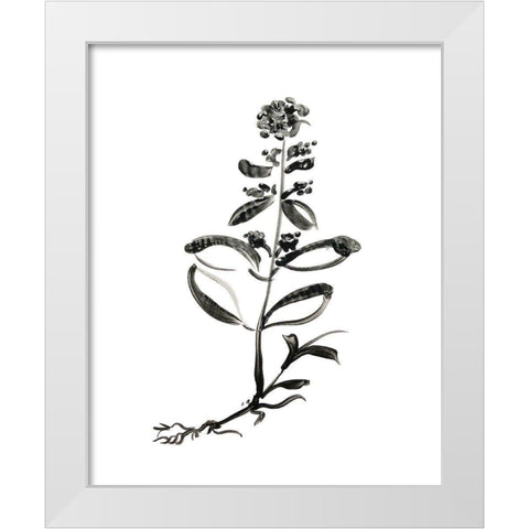 Inky Botanical III White Modern Wood Framed Art Print by Donovan, Kelly