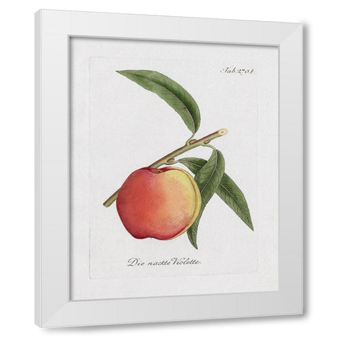 Peachy Keen I White Modern Wood Framed Art Print by Donovan, Kelly