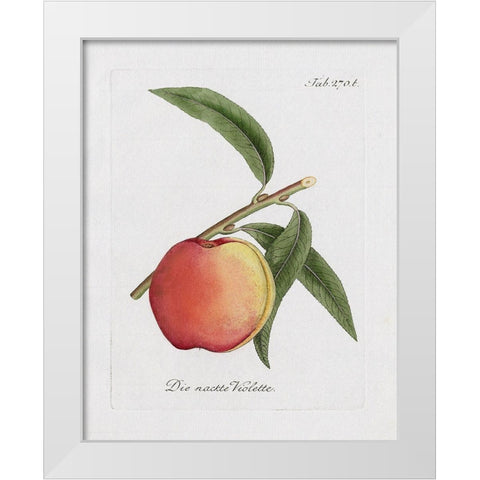 Peachy Keen I White Modern Wood Framed Art Print by Donovan, Kelly