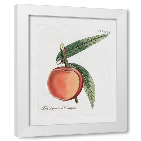 Peachy Keen II White Modern Wood Framed Art Print by Donovan, Kelly