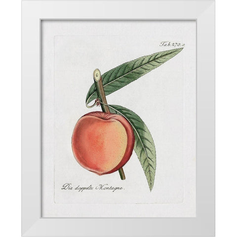Peachy Keen II White Modern Wood Framed Art Print by Donovan, Kelly