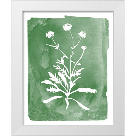 Green Botanical I White Modern Wood Framed Art Print by Donovan, Kelly
