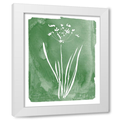Green Botanical II White Modern Wood Framed Art Print by Donovan, Kelly