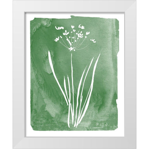 Green Botanical II White Modern Wood Framed Art Print by Donovan, Kelly