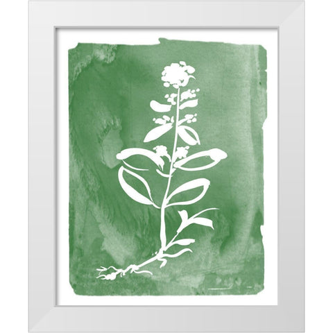 Green Botanical III White Modern Wood Framed Art Print by Donovan, Kelly