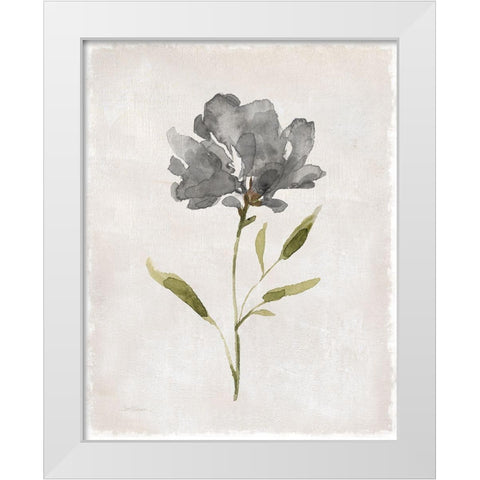 Botanical Beauty II White Modern Wood Framed Art Print by Robinson, Carol