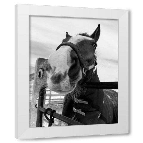 Argenteuil White Modern Wood Framed Art Print by Jill, Susan