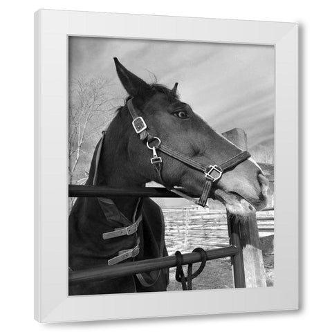 Bordeaux White Modern Wood Framed Art Print by Jill, Susan