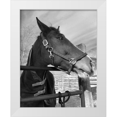 Bordeaux White Modern Wood Framed Art Print by Jill, Susan