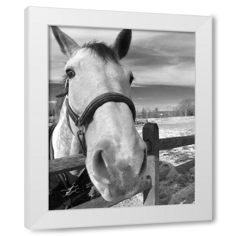 Caen White Modern Wood Framed Art Print by Jill, Susan