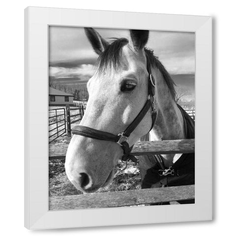 Dijon White Modern Wood Framed Art Print by Jill, Susan