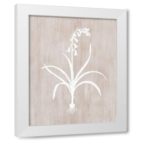 Botany Beauty I White Modern Wood Framed Art Print by CAD Designs
